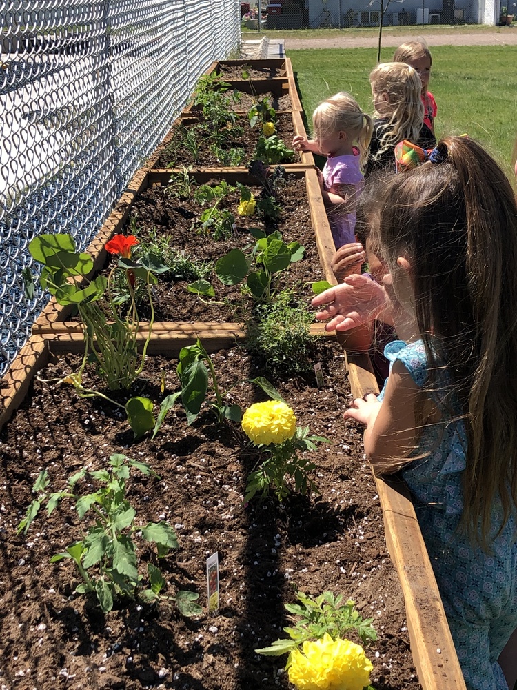 Gardening with Peaceful Prairie Nursery, Inc.